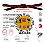 WORLD ALL-STYLES KI SHIN DO BUDO KAI FEDERATION - Certificato Internazionale di Grado