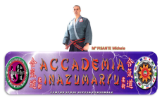 Accademia INAZUMARYU