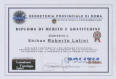 DIPLOMA DI MERITO E GRATITUDINE - Per aver contribuito, con impegno ed elevata professionalit, al miglioramento delle tecniche di autodifesa per il peronale delle Forze di Polizia. 10/05/2012